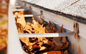 Tencreek gutter cleaning companies